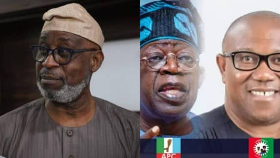 "European Union lied in its report on 2023 elections" ― FG Tinubu