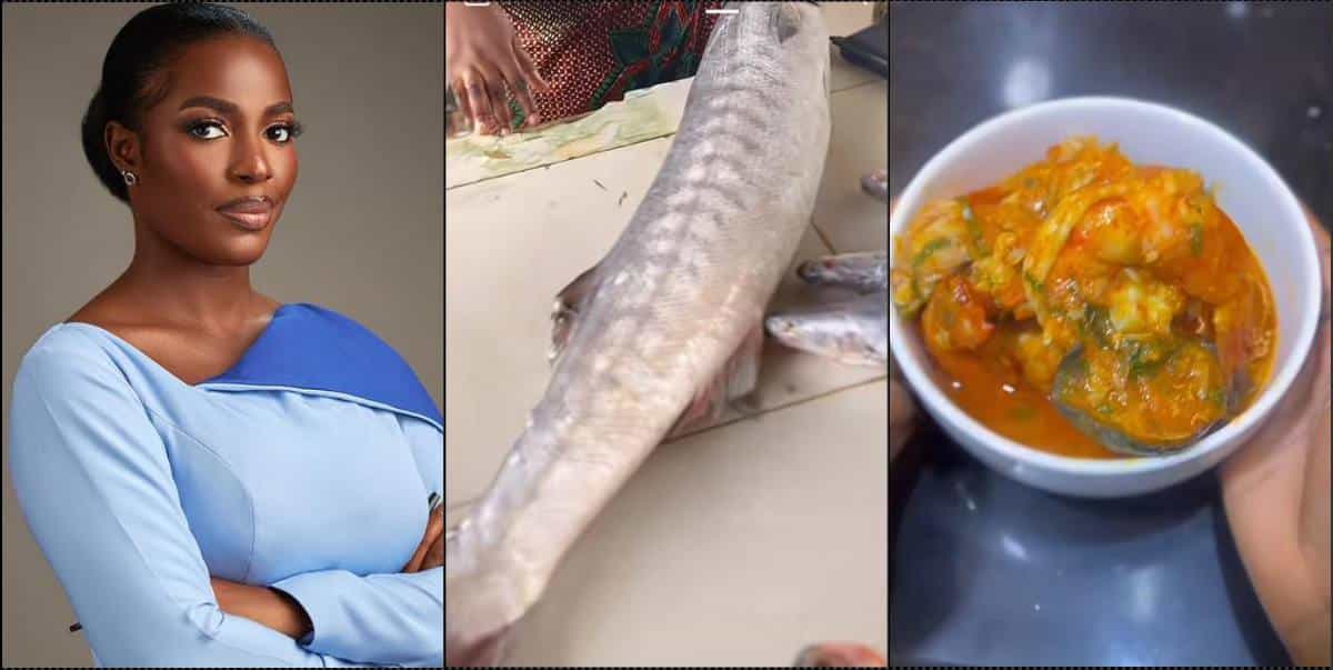 "Someone salary for a meal" — Hilda Baci causes a stir with soup made with N60K fish (Video)