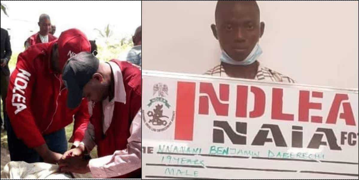 NDLEA arrests Europe-bound 19-year-old student with drugs