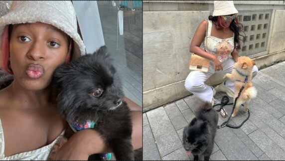 "Single mother of two" — DJ Cuppy says, pose with her dogs following alleged breakup