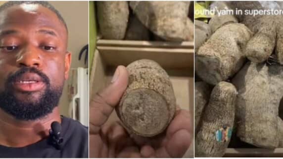 "My yam leg is enough" - Nigerian man craving yams spots them for sale in Canada, flees market after hearing high cost (Video)