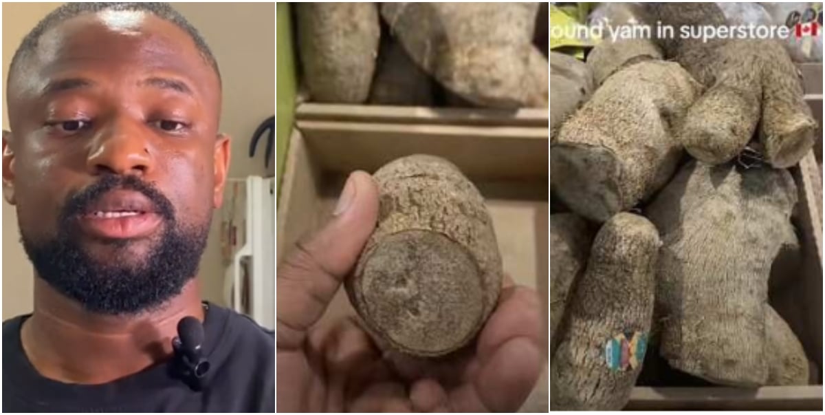 "My yam leg is enough" - Nigerian man craving yams spots them for sale in Canada, flees market after hearing high cost (Video)