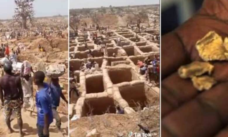  Nigerian man exposes gold mine located in Zamfara (Video)