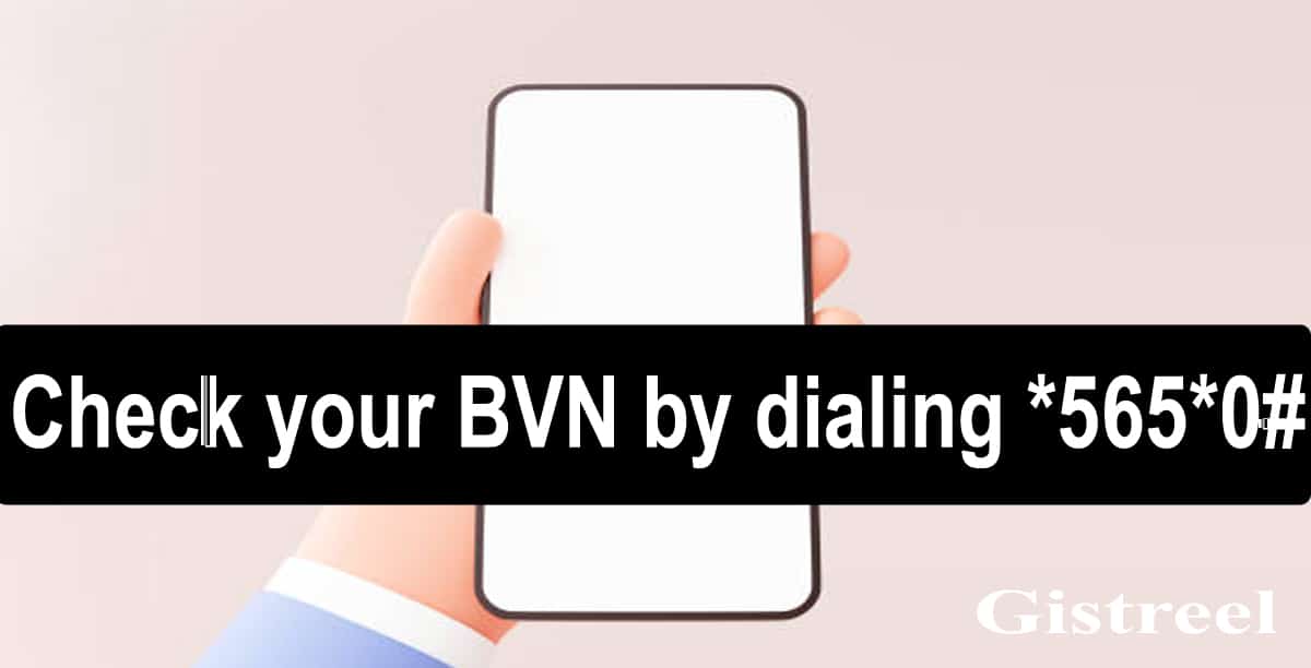 How to check BVN Easily 2023