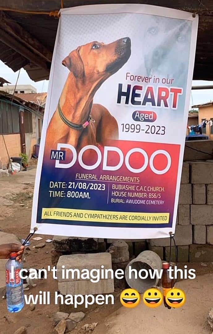 Man set to hold funeral arrangements for dog (Video)