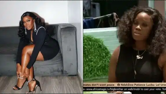 Ceec bows to pressure, apologizes following offensive statement to housemates (Video)