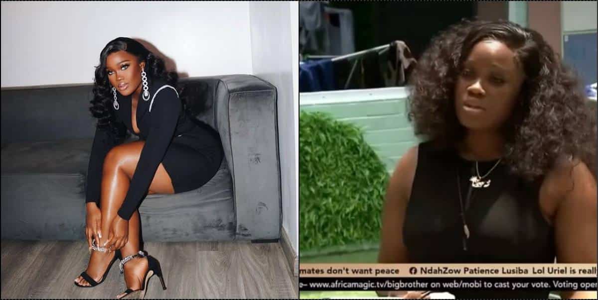 Ceec bows to pressure, apologizes following offensive statement to housemates (Video)