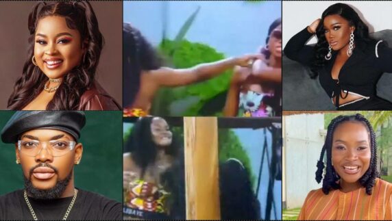 Amaka, Sir Kess, others react following altercation between Ilebaye and Ceec