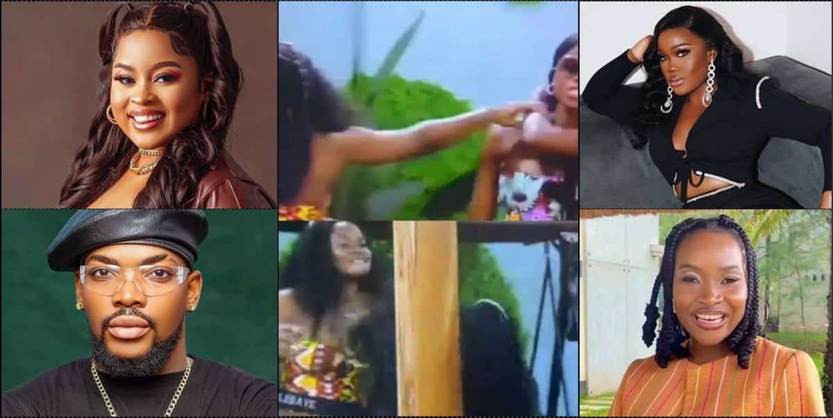 Amaka, Sir Kess, others react following altercation between Ilebaye and Ceec