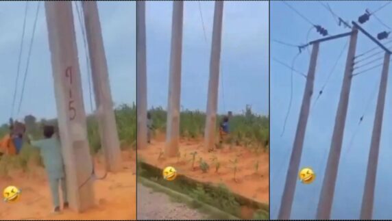 Concerns as boy rides swing under high tension cable (Video)