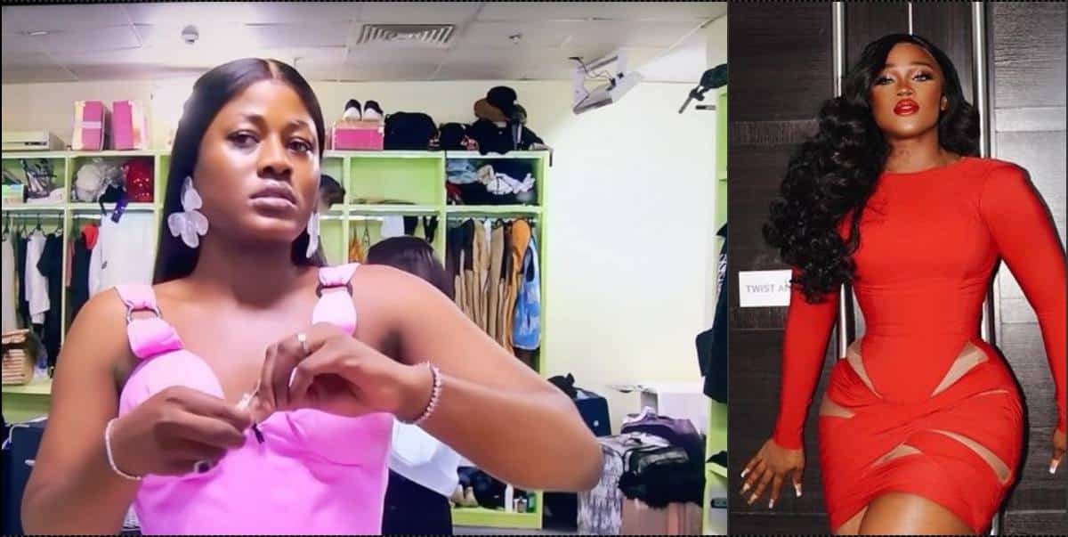 BBNaija All Stars: Alex and Ceec reconcile, viewers react (Video)