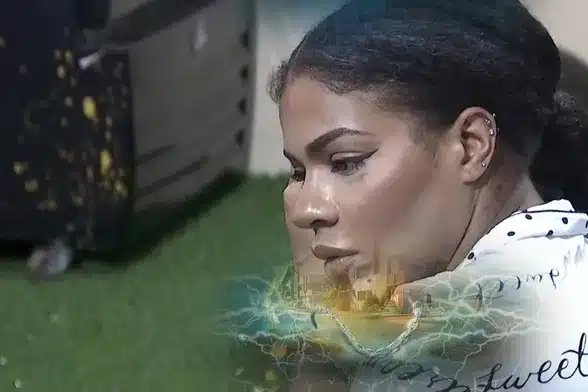 BBNaija Day 43: WhiteLambo babies on the way?, Sholzy is Head of House, Ceec gives Neoenergy the Ike lowdown…