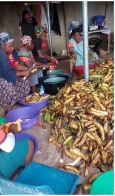 Plantain chips seller builds 3 houses with profit from business, video goes viral