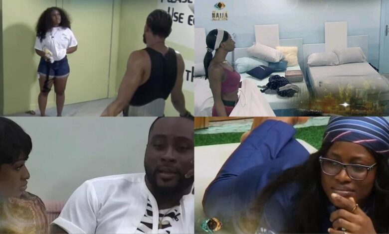 BBNaija Day 48: Housekeeping with a dose of honest conversations, Alex and Doyin analyse fights with Venita, Somgel's relationship wahala...