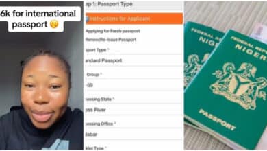 "I paid just N26k" - Lady obtains her international passport without stress after applying online (Video)