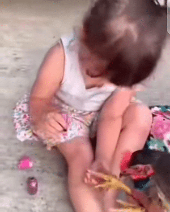 Little girl and Chicken 