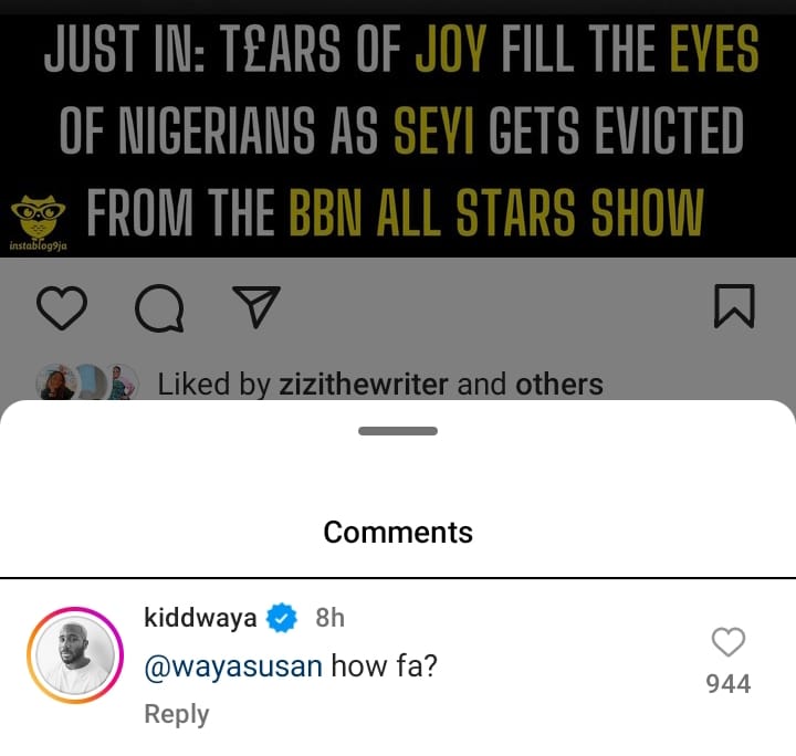 Kiddwaya mom suing Seyi 
