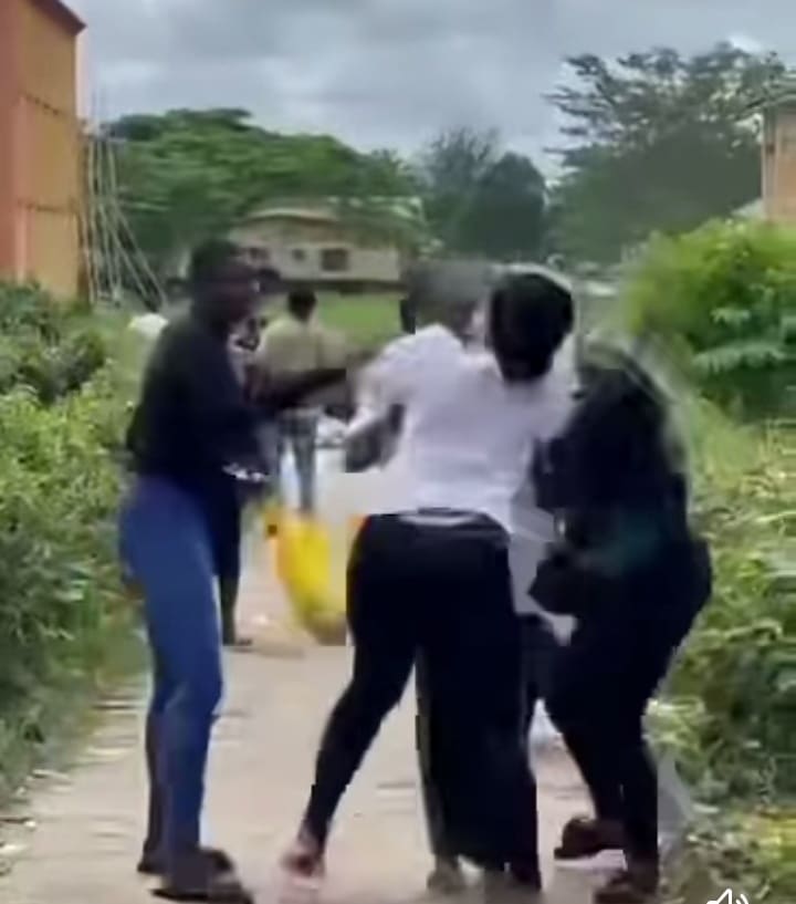 UNICROSS female students fighting man