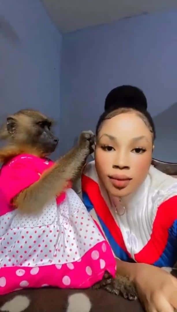 Monkey overjoyed as lady beautifies her pet with new earrings (Video)