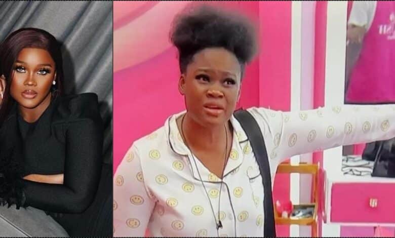 Ceec loses her cool as Ilebaye litters her beauty product after borrowing it (Video)