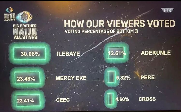 BBNaija All Stars: How viewers voted Ilebaye as winner