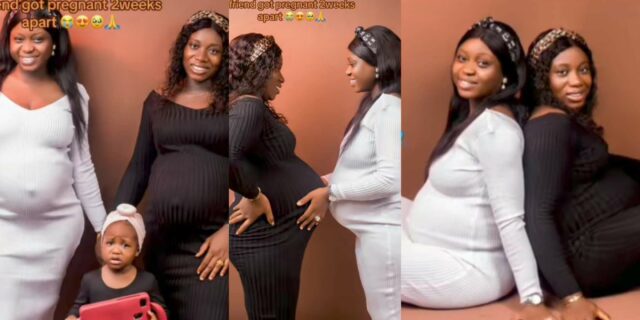 "Aren't they twins" – Lady celebrates as she and her best friend become pregnant at same time