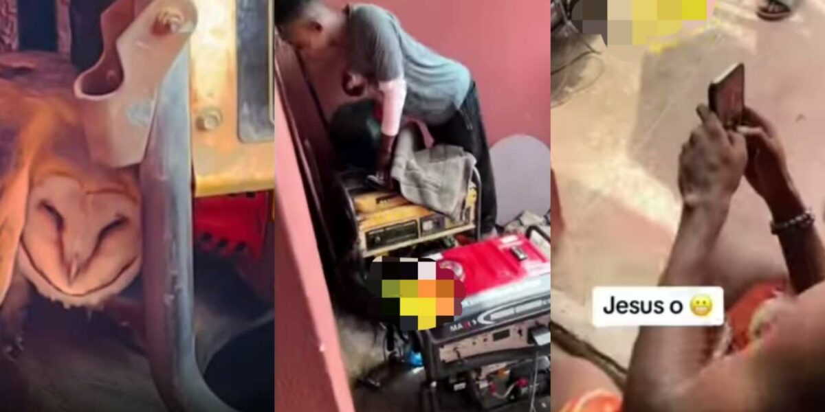Drama ensues as man spots owl hiding besides his generator