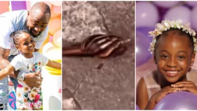 Davido's daughter Hailey screams after seeing snail for the first time