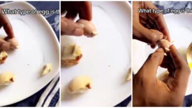 "Which kind egg is this, abeg?" - Man shocked as he finds another egg with its shell inside his hard-boiled egg during breakfast