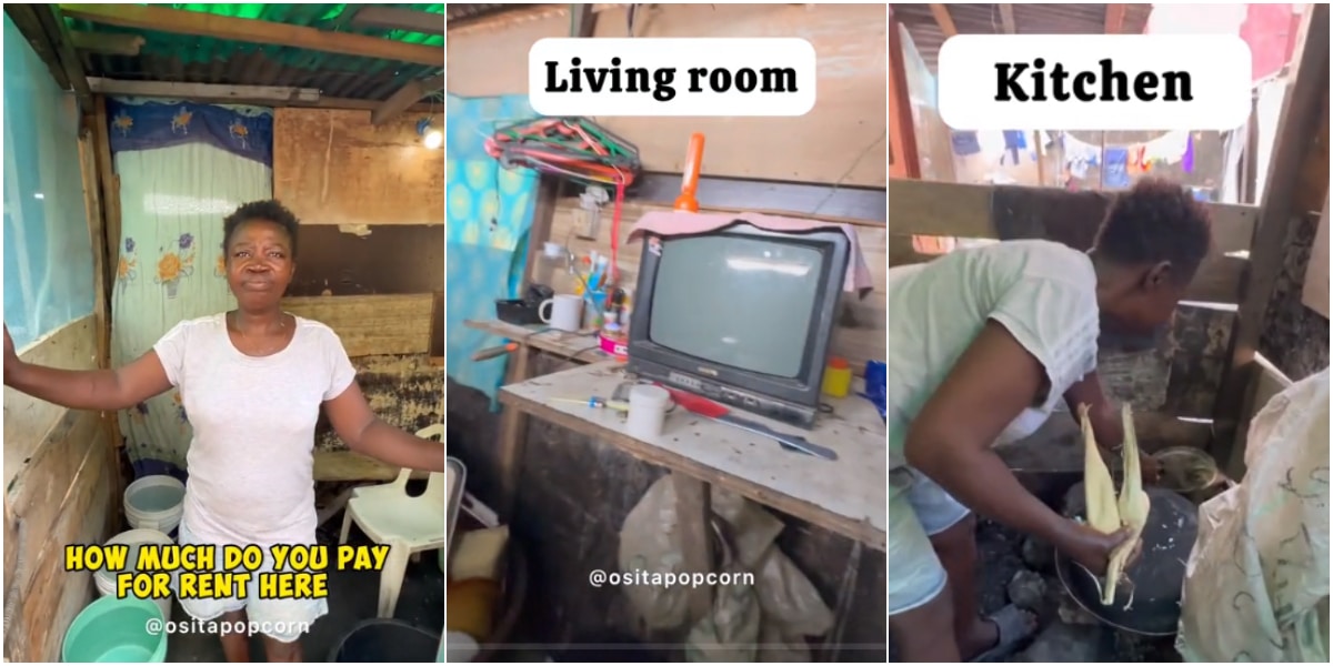 Video unveils woman's rented wood-built home