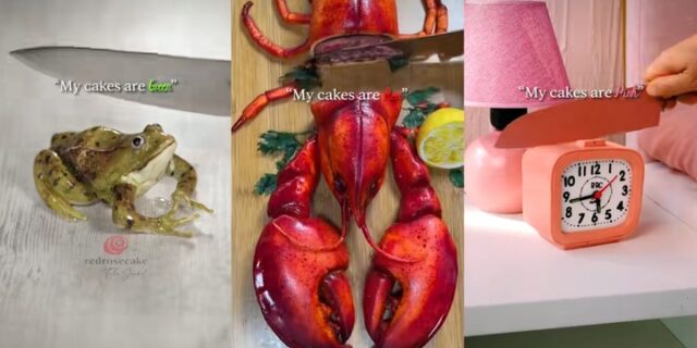 Frog Crab Clock Baker Bag Shoe