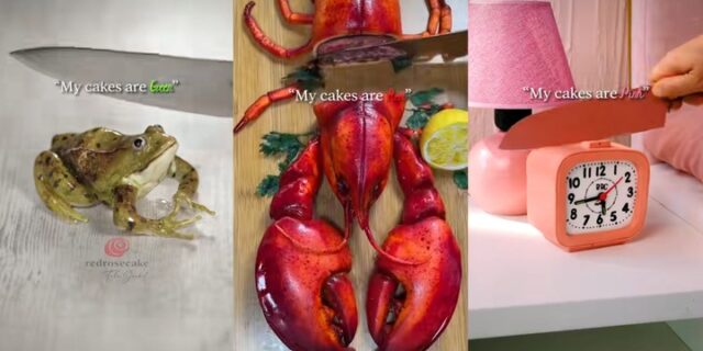 Frog Crab Clock Baker Bag Shoe