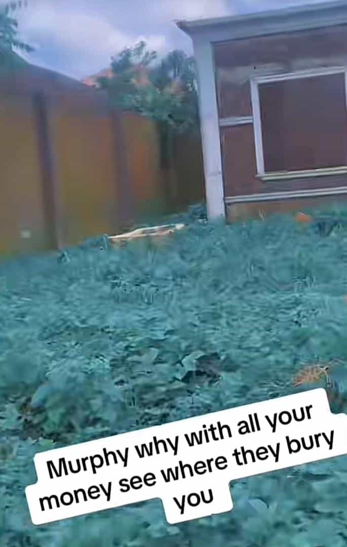 "See where they buried Murphy Afolabi, with all the money he had" - Fans visit actor's grave