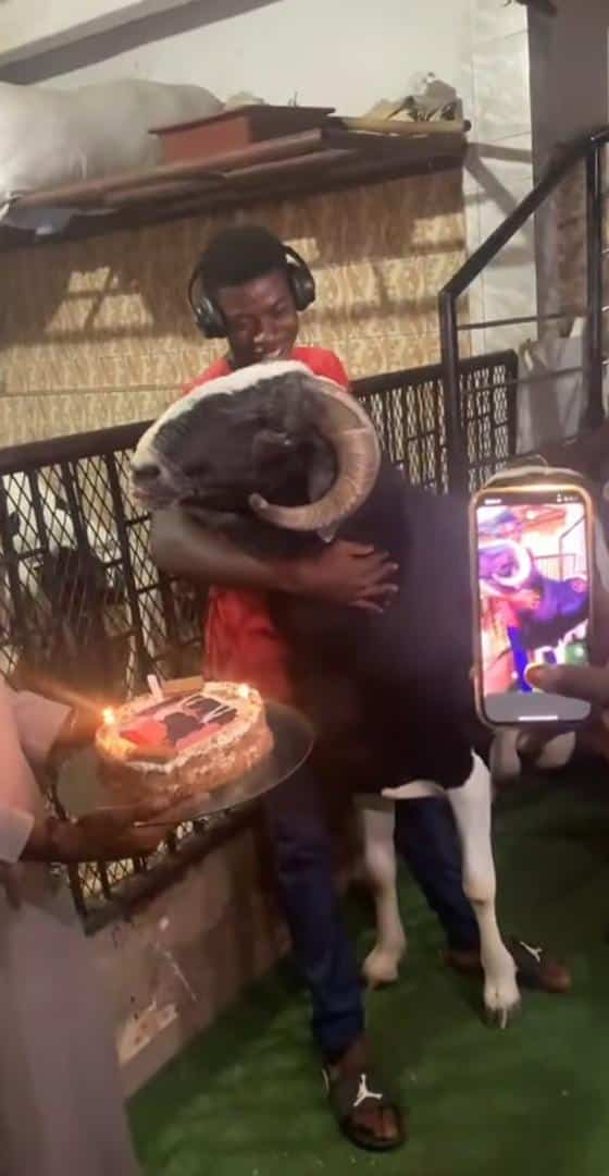Ram gets a huge cake as it marks birthday
