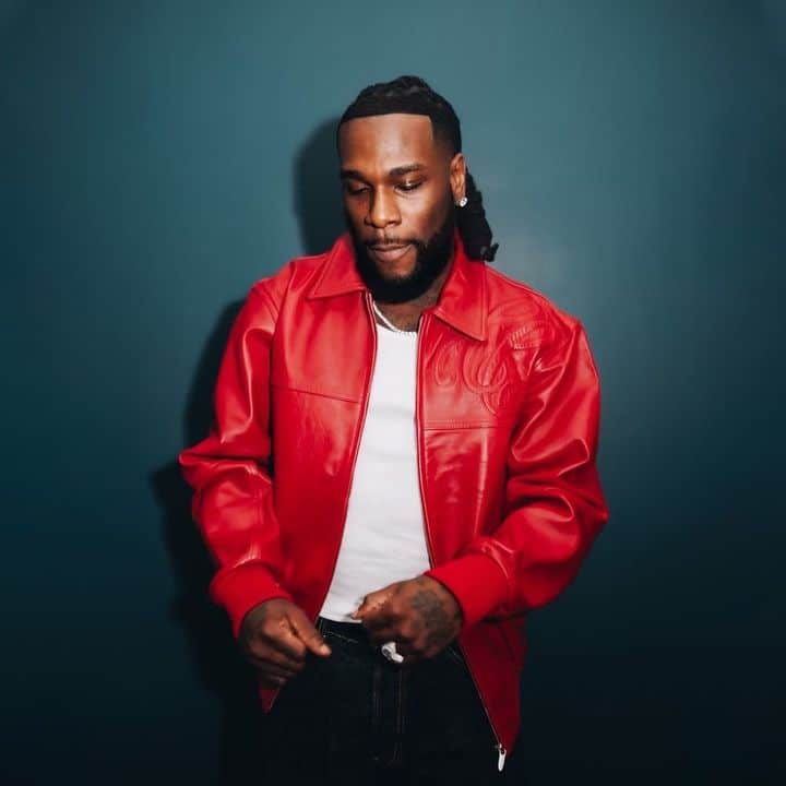 Nigerian singer, Burna Boy