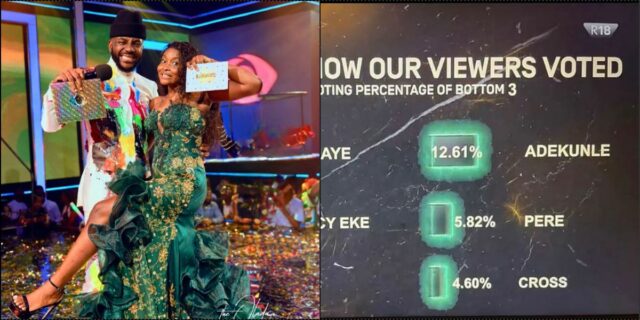 BBNaija All Stars: How viewers voted Ilebaye as winner