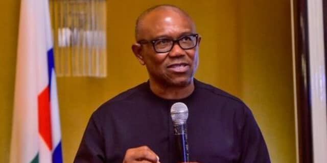 "Politicians who forge certificates can’t do things right" – Peter Obi shades Tinubu, others