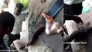 “Just kuku pound am” — Reactions as man forces meat seller to cut small piece of chicken to 17 parts