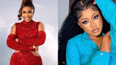 "You are a sweet and shy person" – Mercy Eke replies as Phyna speaks on meeting her, fans react