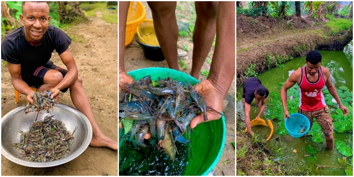 Man stuns many as he shows off his massive shrimp farm