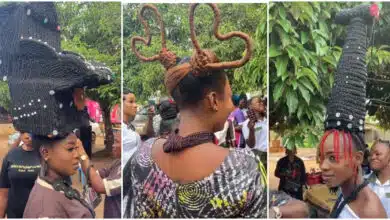 "It took me 5 days to make" - Hairstylists hold general meeting, flaunt collection of mind-blowing hairstyles