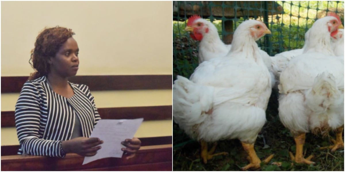 Woman dragged to court for killing her mother's four chickens and threatened to set herself ablaze