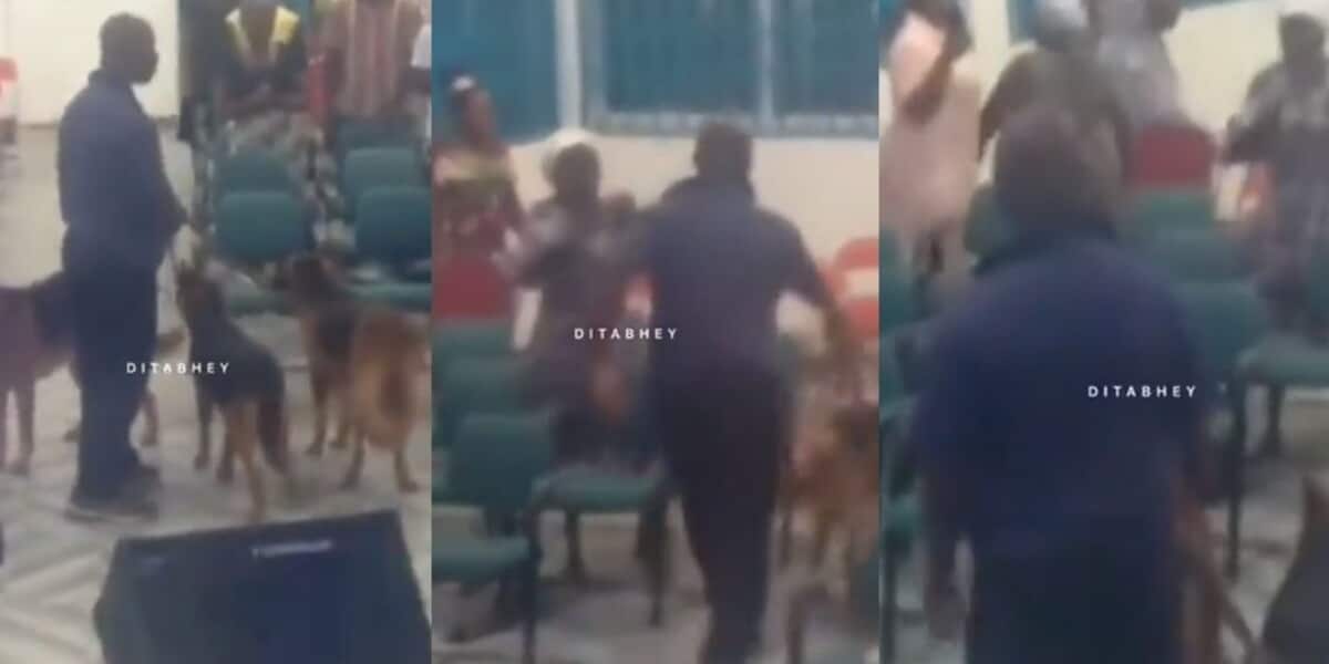 Man storms church with dogs to warn them to stop disturbing neighbourhood
