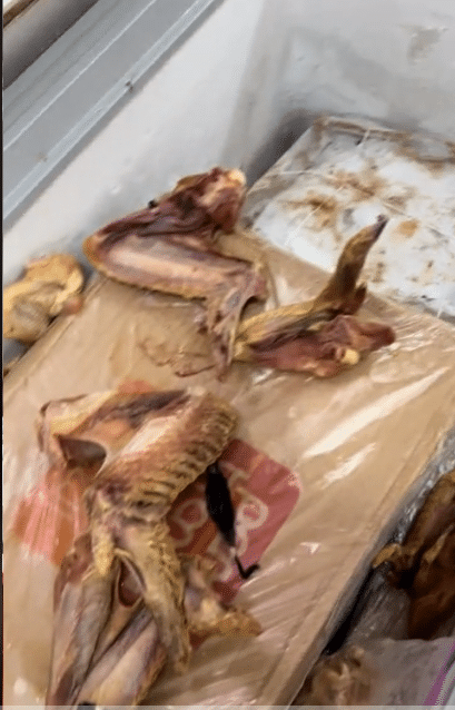 "I've lost over 300k" - Woman selling frozen food cries out amid power outage, shares heartbreaking video of spoiled goods