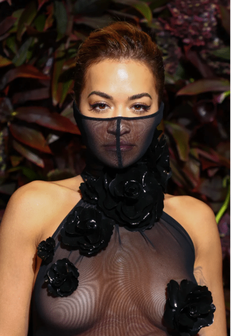 Rita Ora stuns many as she goes braless in see-through dress at vogue red carpet event