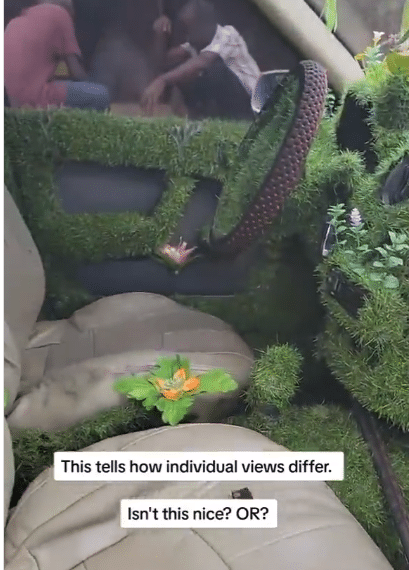 "Agric teacher don finally buy car" - Man causes buzz as he uses grass to redesign his new car