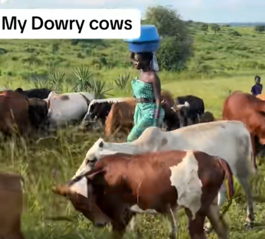 Beautiful lady cows husband dowry bride price