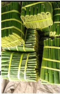 "Omo banana leaf sef don travel lef me" - Netizens go gaga as Nigerian woman sells banana leaves in dollars abroad