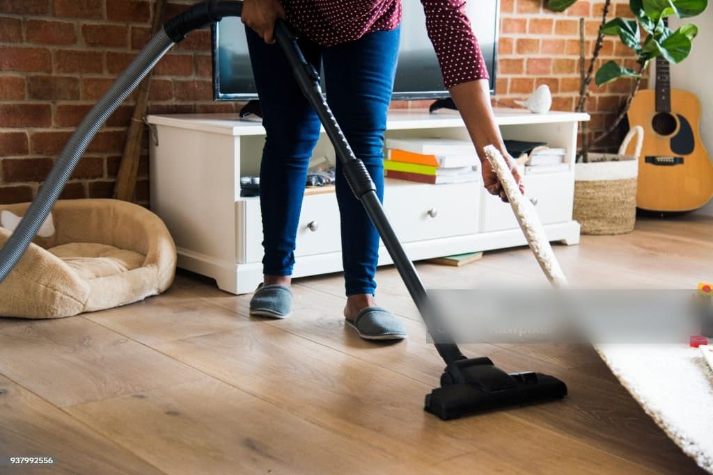 woman cook clean career