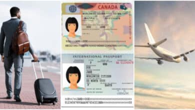 "N30 million scam"- Nigerian man pays for 'direct work visa' to Canada, discovers all travel documents are fake